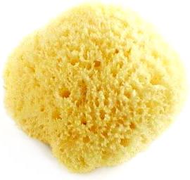 Bath And Unwind Sea Sponges 301 moved permanently Bath And Unwind Sea Sponges 301 moved permanently